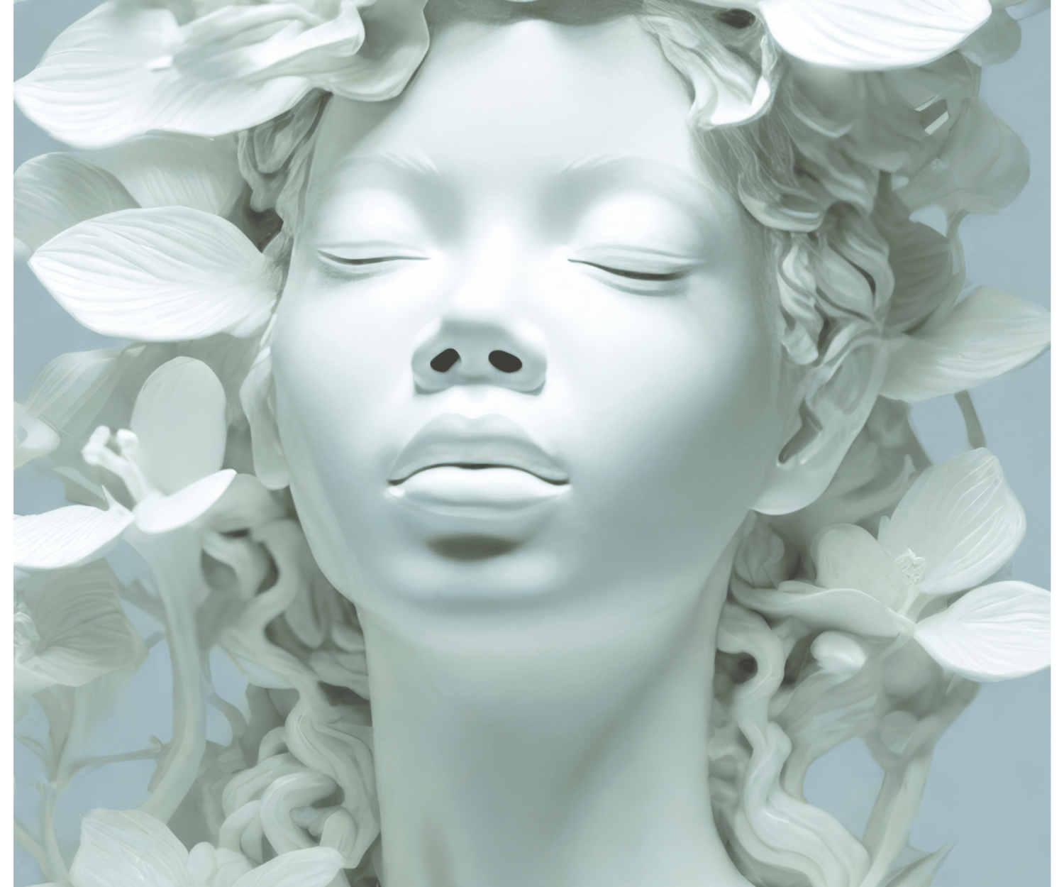 NAP Orchidée blanche